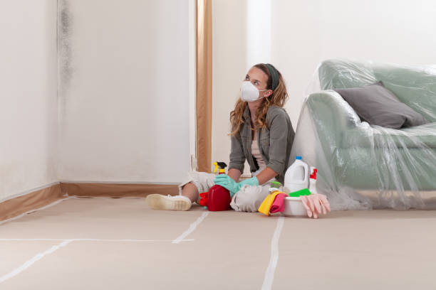 Reliable Mold Inspection And Testing contractor in Lewisville, TX by Car Mold Remediation